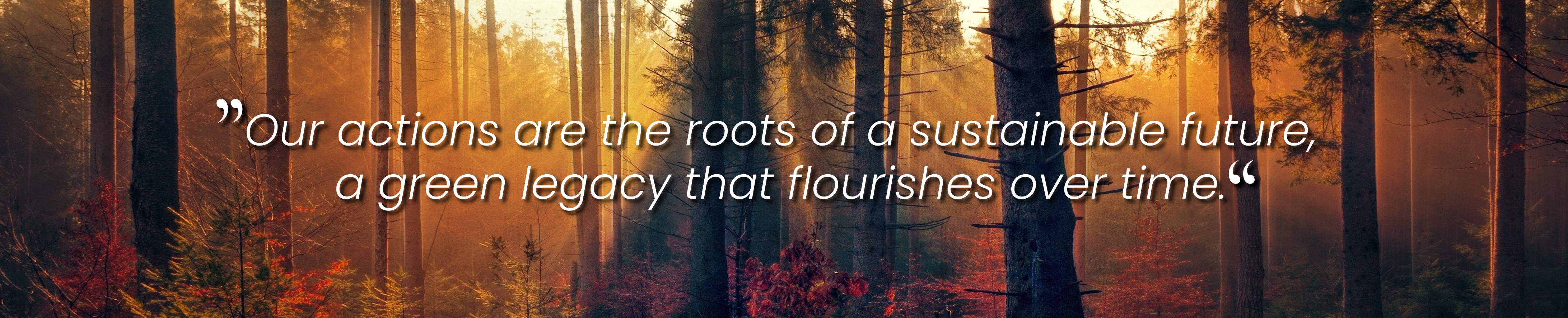 Our actions are the roots of a sustainable future, a green legacy that flourishes over time
